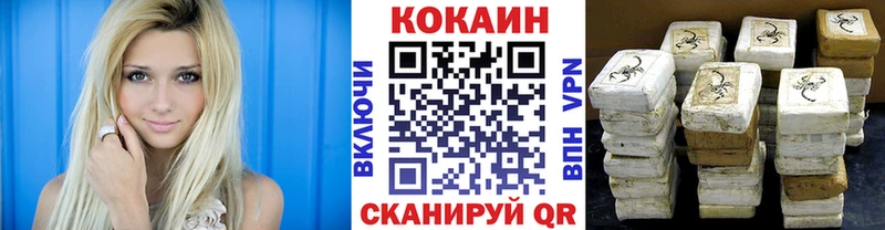 где купить   Монино  COCAIN Fish Scale 