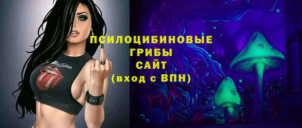 прущий лед Кулебаки