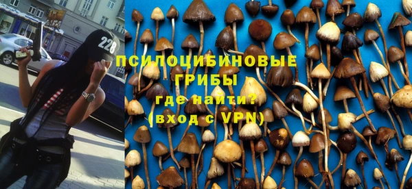 прущий лед Кукмор