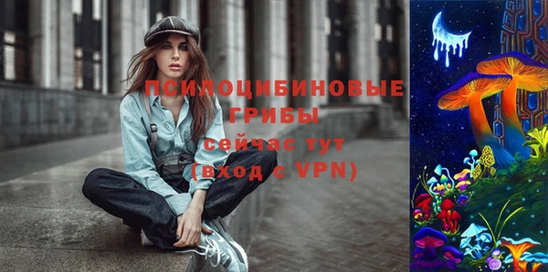стаф Куйбышев